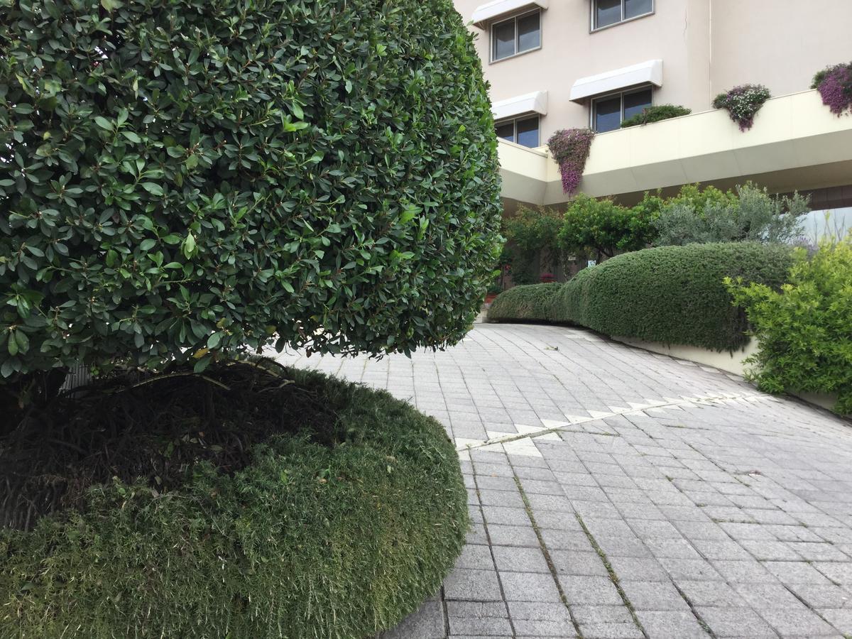 Green Park Hotel Pomezia Exterior photo